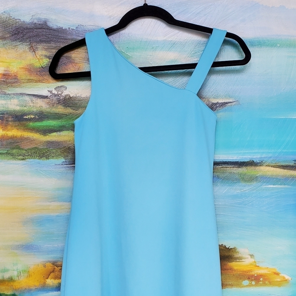Susana Monaco Asymmetrical Mini Dress or Tunic